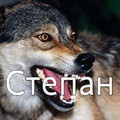 Stepan.jpg