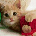 80130_preview.jpg