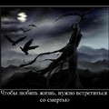 20180426 130540.jpg