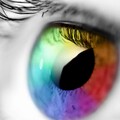 rainbow-1661979620823-4212.jpg
