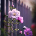 39c77cd7a1415d0b2511f08a4177a60e.jpg