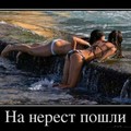 IMG 20181225 043922 627.jpg