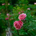 4795e1f69c37e1bc22275a2410a6ffd8.jpg