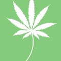 jpLF7HRhX4A.jpg