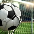 45346-myach setka futbol pushinka.jpg
