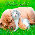 image (12).png