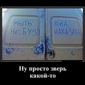 db5131367fb8163d2ba2ca0880942a45 103067.jpg