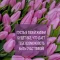 59bee707e571c83b1110064d7b3fca4f.jpg