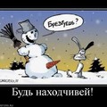 y 8f2a6e48.jpg