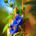 c53cb64ddb7b1a48b449e3c3e1b0076c.jpg