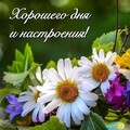 Хорошего Дня и Настроения !.jpg