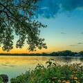 d9520f855550154fe2b33c494856a4c2.jpg
