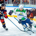 metallurg-mg-salavat-julaev 1550920456987767971.jpg
