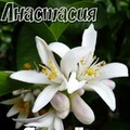 dcbf2a1ae2da24d6ce6ed732ee2d7d65.jpg
