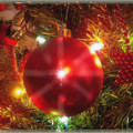 2011gif_2383535_1429159.gif
