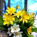 89b0777dd6a61e157c5a000c96bce9f5.jpg