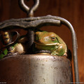 40730_1600x1200_wallpaper_cb1266522079.jpg