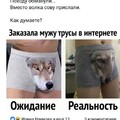 3b92b8c17f551648547313d0f5323d01.jpg