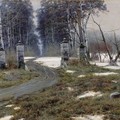 Пейзаж 1895 Холст масло 71х114 см.jpg