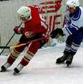 2594 sport5.jpg