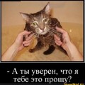 5f30a4d3-4484-429e-9661-d6afa58dce16.jpg