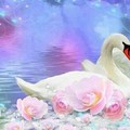 IMG-20160528-WA0067.jpg