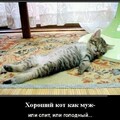 VEZE9302.jpg