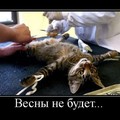 IMG-20170301-WA0033.jpg