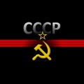 Обои с w-dog ru 1366x768.jpg