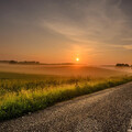 29913-priroda doroga trava solntse gorizont nature road grass the sun horizon.jpg