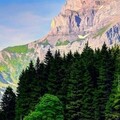 51a5ddbab6ca85e6aa19cc6295aebe2f.jpg