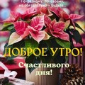 Доброе утро.jpg