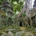 nature-1662016649278-484.jpg