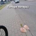 IMG 20211003 104035.jpg
