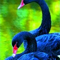 febc2711c6f72682a620c7964e0fc8b6.jpg
