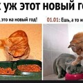 IMG-20230105-WA0152.jpg