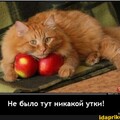 99f57dda-dc54-4fd9-a61c-6d9dfa8dd9cf.jpg