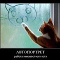 20180415 175136.jpg