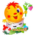 IMG 2971.gif