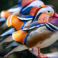 40735_1600x1200_wallpaper_cb1266522115.jpg
