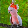 4b88cdc5b21ccfcbcc3f485085107d27.jpg