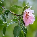 af484fa6f98163d39f1a73dfd95911a8.jpg