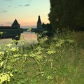 getImage (1).jpg
