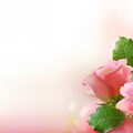 Image from million-wallpapers ru 1366x768 (3).jpg