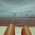 x_36690e83.jpg