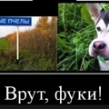 53F5BB91-3802-4EB6-9A6D-A63270BA1B4B.jpg