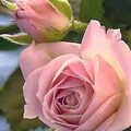8983d351a7c25296a0ef947b2cd7875b.jpg