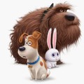 the-secret-life-of-pets-max.jpg