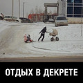 537f8.jpg