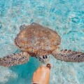 1b4c5ca72742c7000dd3dda535edafe3.jpg